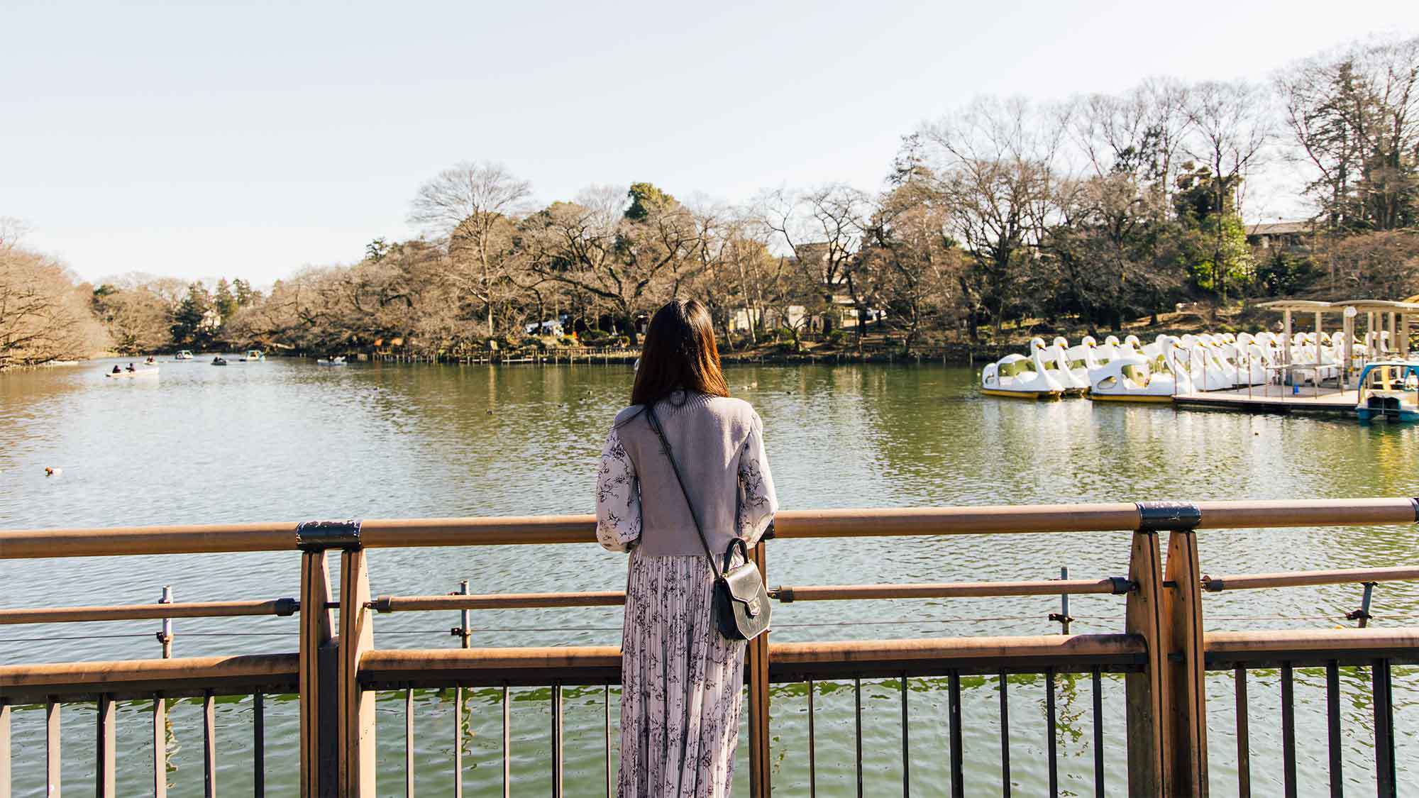 井の頭恩賜公園