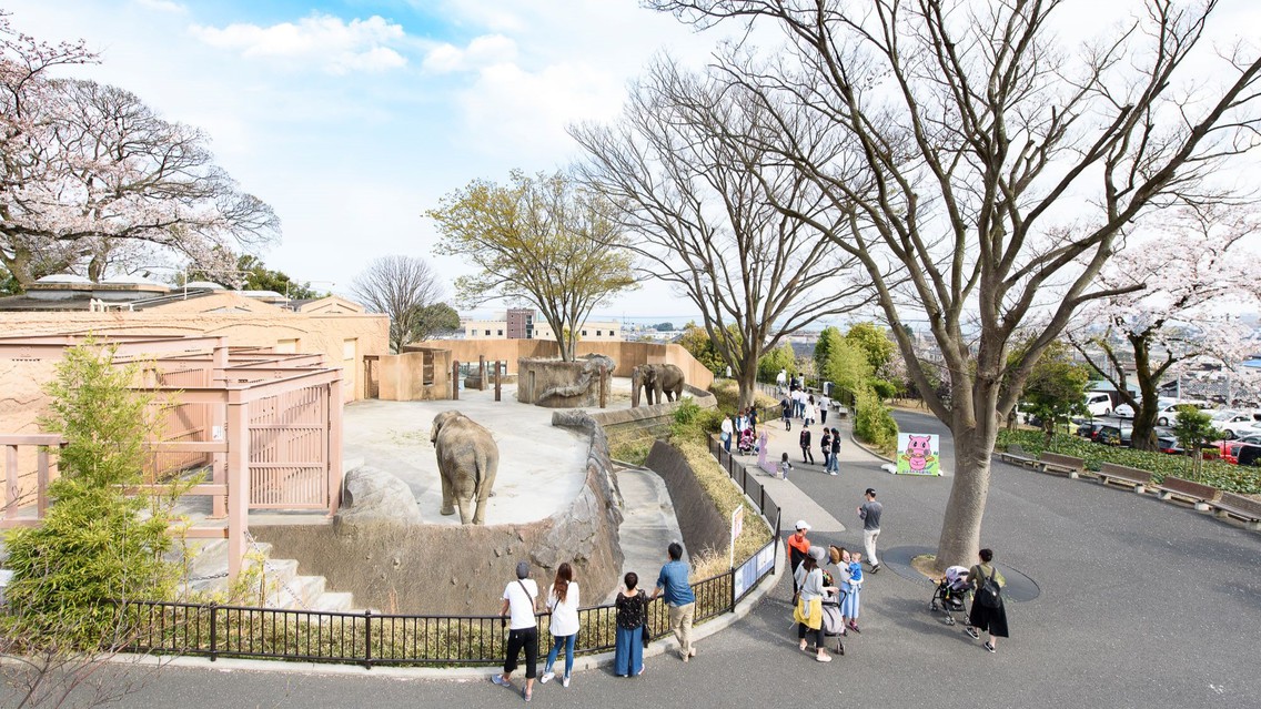 【久慈サンピア日立】周辺の観光かみね動物園