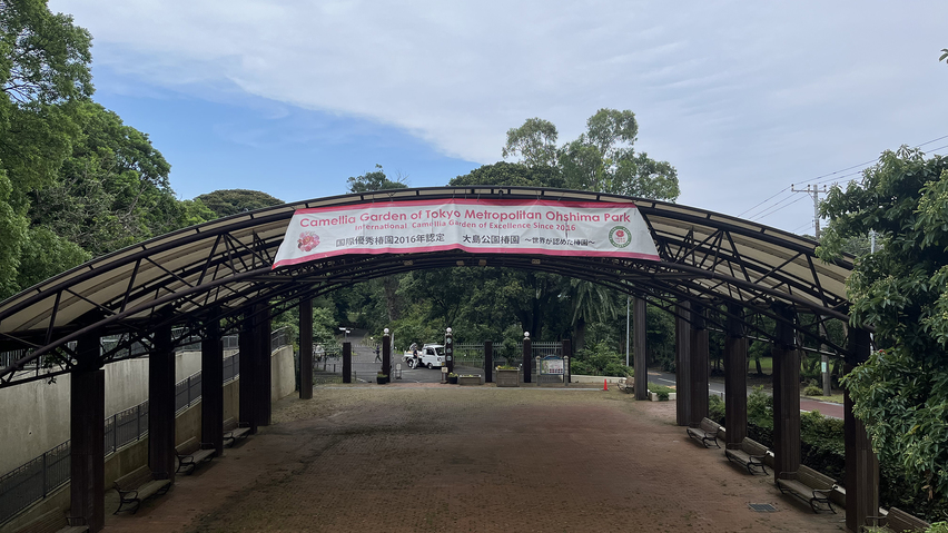 【周辺スポット】大島公園椿園