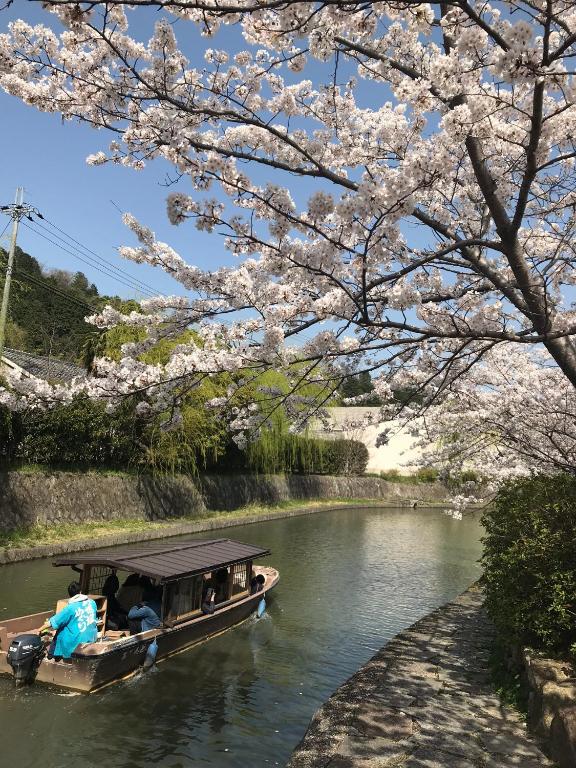 八幡掘り