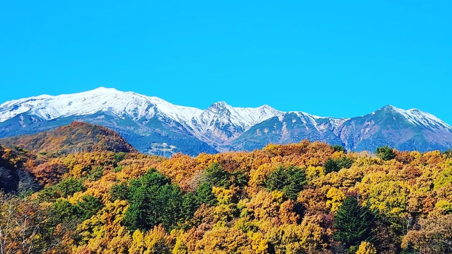 客室からの風景