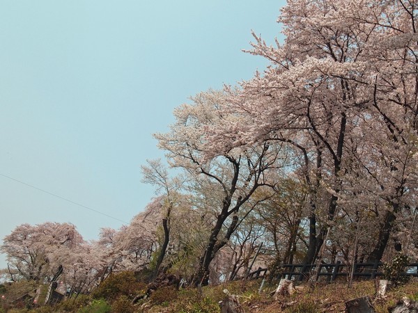 赤湯温泉　上杉の御湯　御殿守