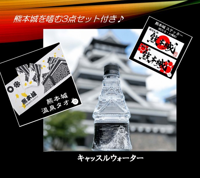 熊本キャッスルビュー（熊本城展望）プラン（食事なし）