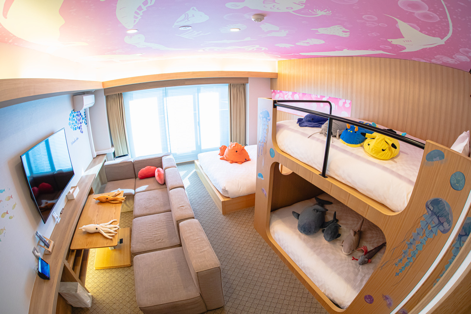 水族館カルチャールーム 6名