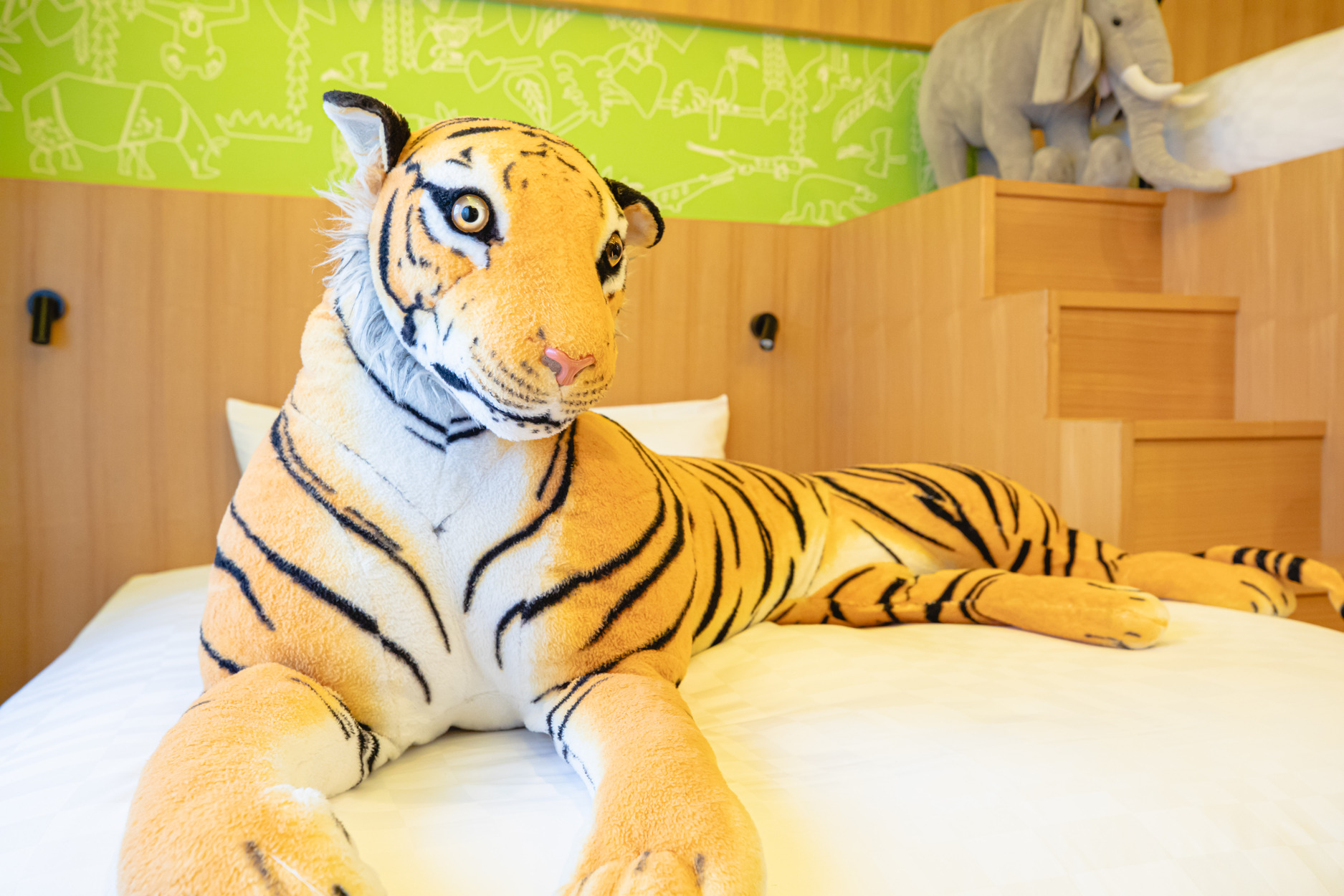 動物園カルチャールーム 6名