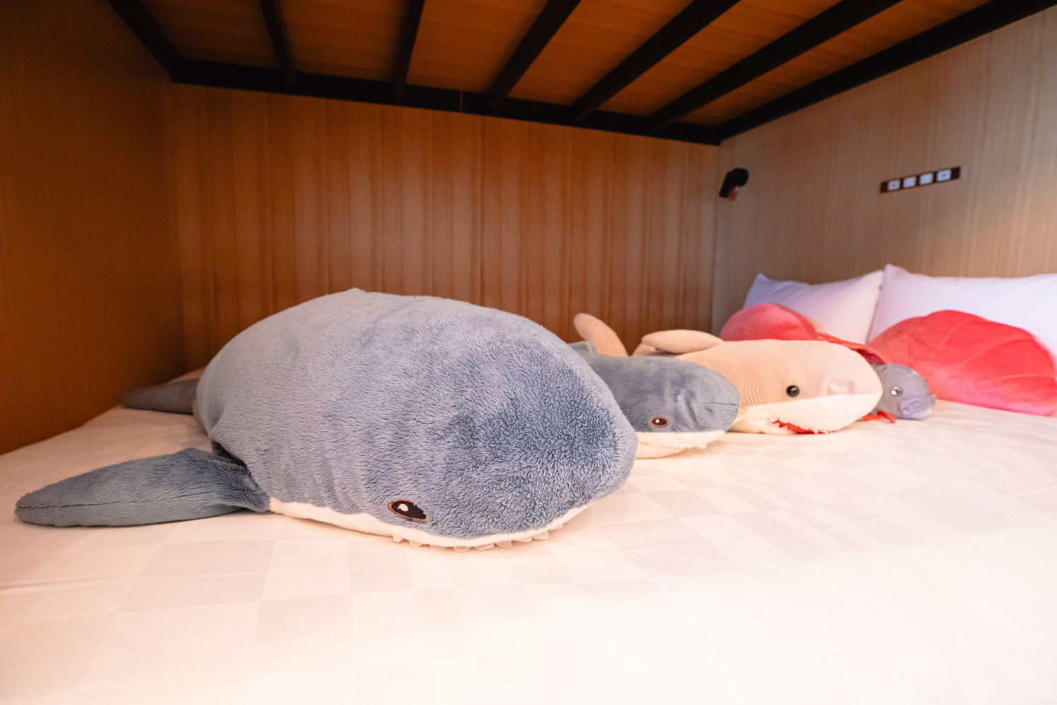 水族館カルチャールーム 6名