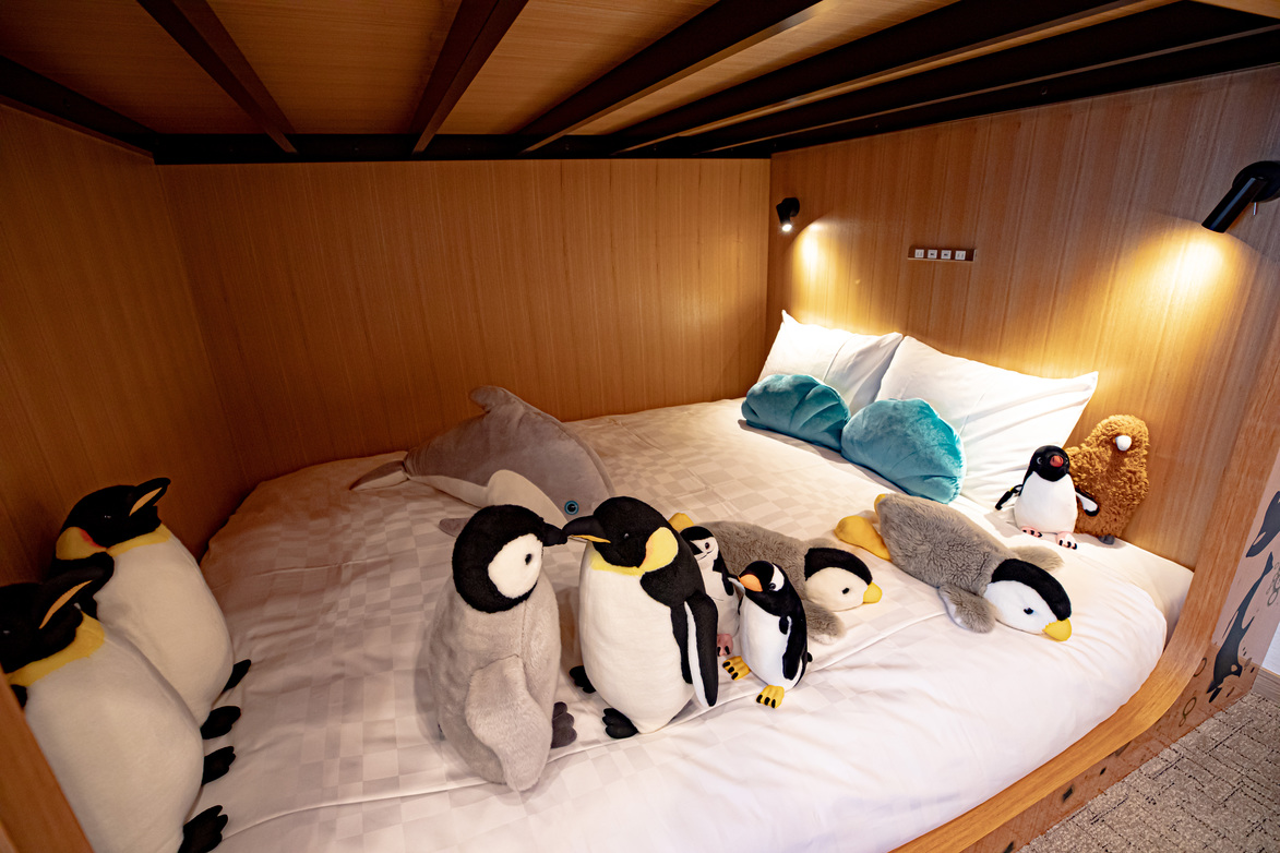 水族館カルチャールーム6名