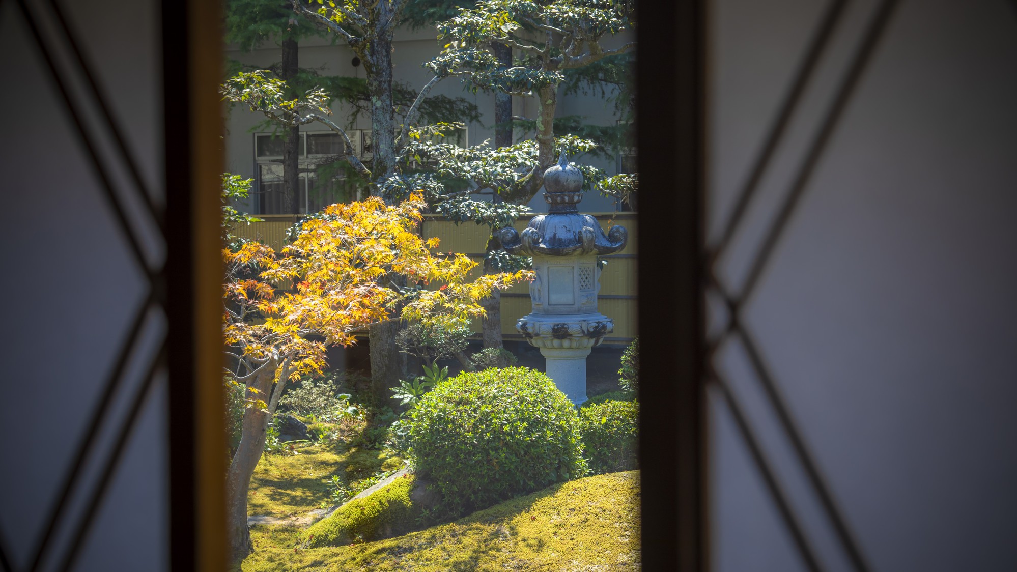 【お部屋】お庭の眺めの良い12畳客室からゆったりと苔庭を愛でる。