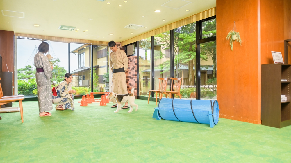 屋内ドッグラン