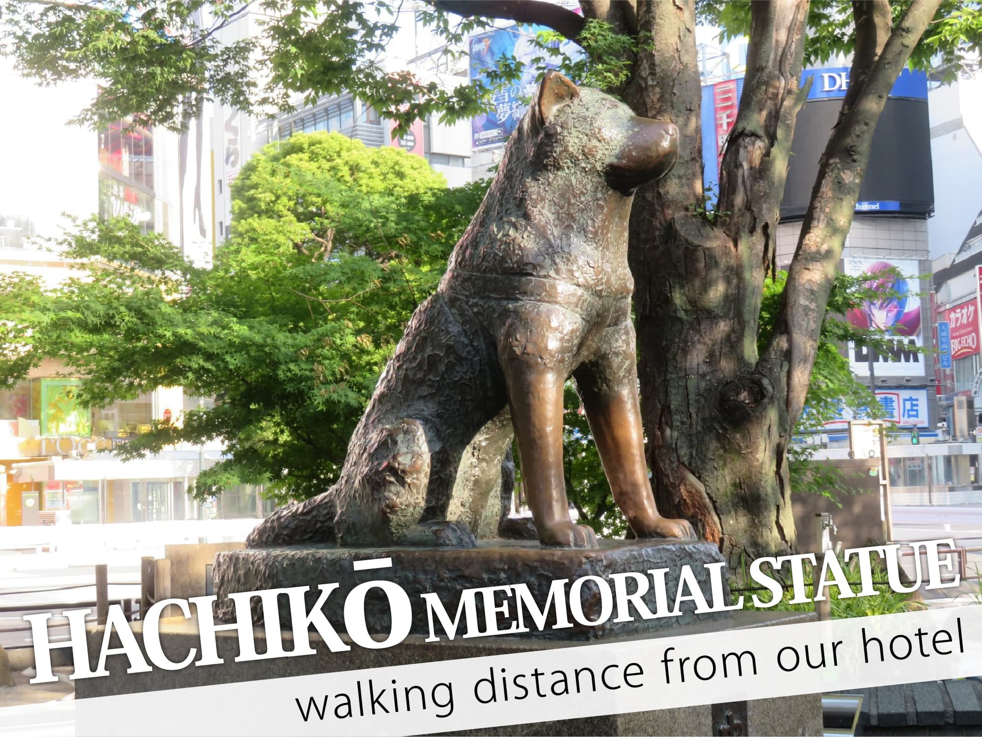 Hachiko Statue（忠犬ハチ公像）
