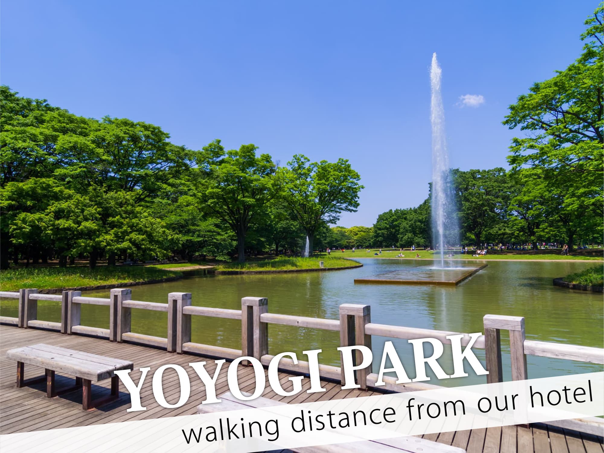 Yoyogi Park（代々木公園）