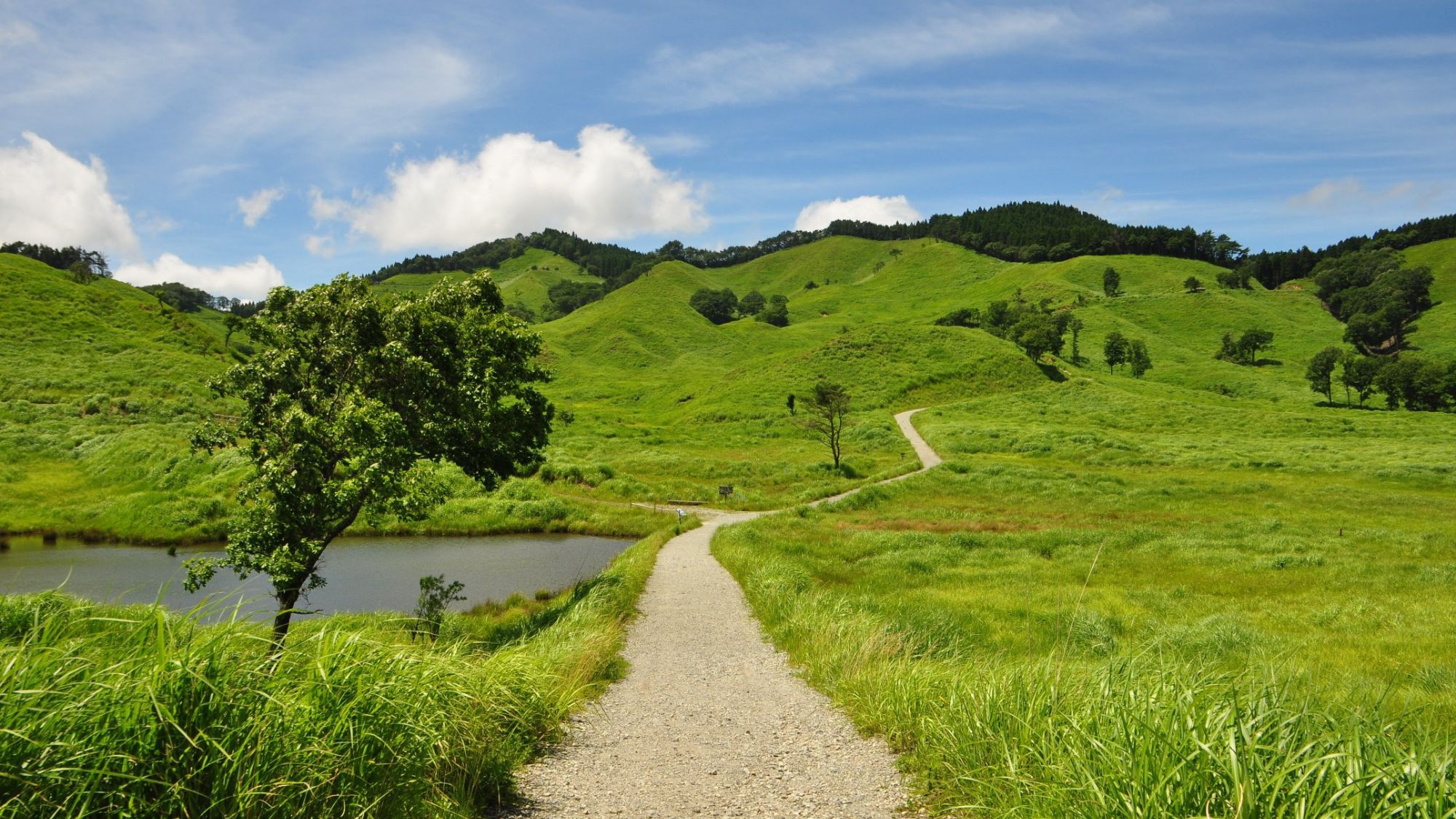 ＊周辺観光：夏の砥峰高原＊