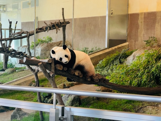 【南紀白浜】アドベンチャーワールド