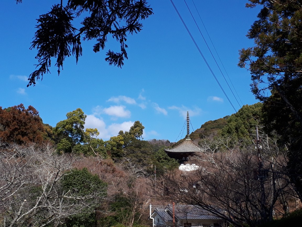 【根来寺】