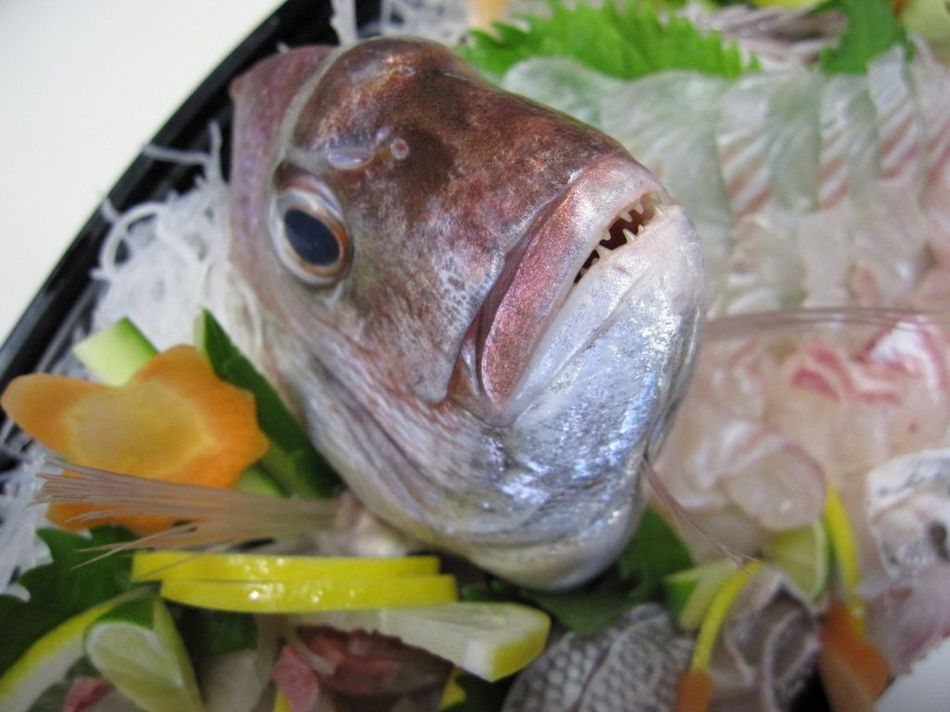 Awajishima Eight Minshuku Image 3, Kobe, Japan