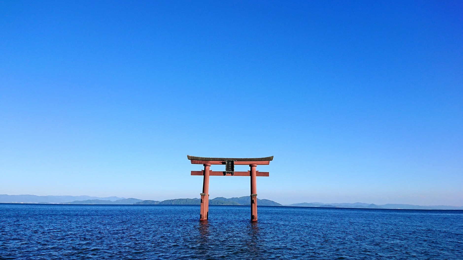 白鬚神社けしきのお宿 メタセコイアの森 