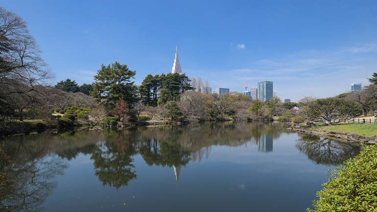新宿御苑山手線代々木駅下車約20分