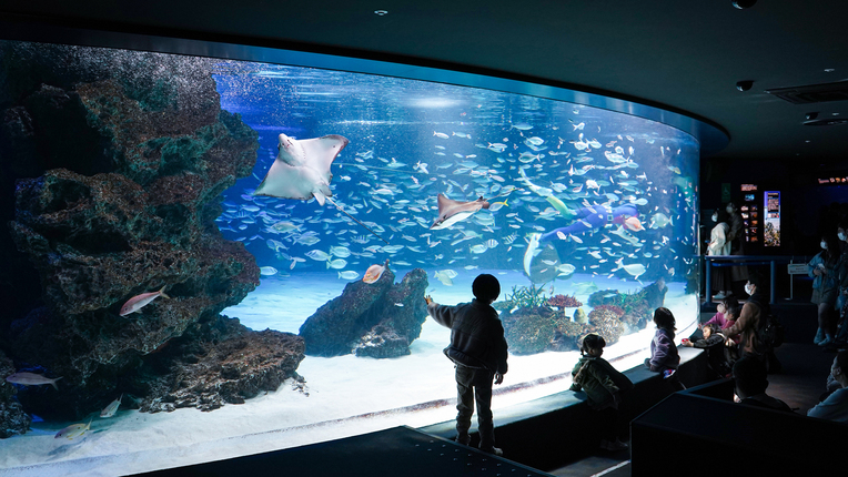 サンシャイン水族館山手線池袋駅下車約21分