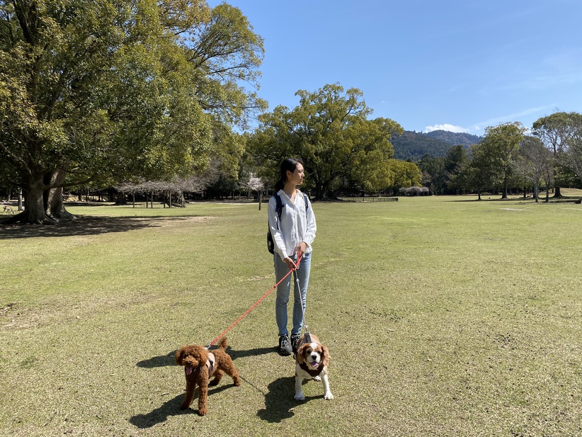 ワンちゃんと奈良公園