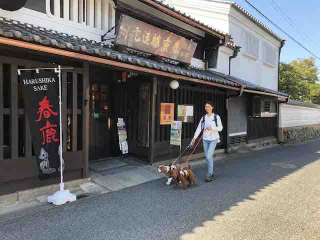 ワンちゃんと（奈良町観光）