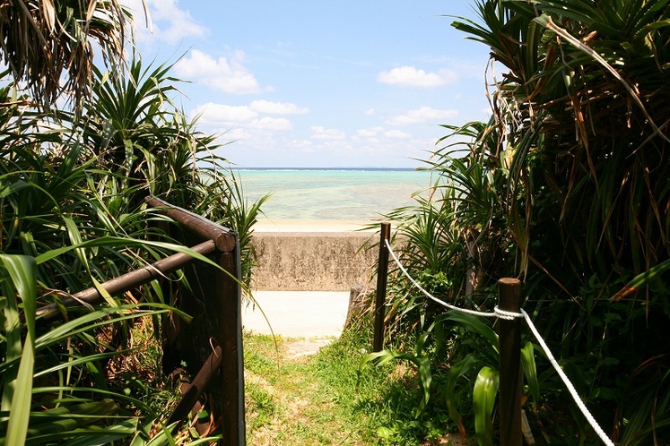 海への抜け道