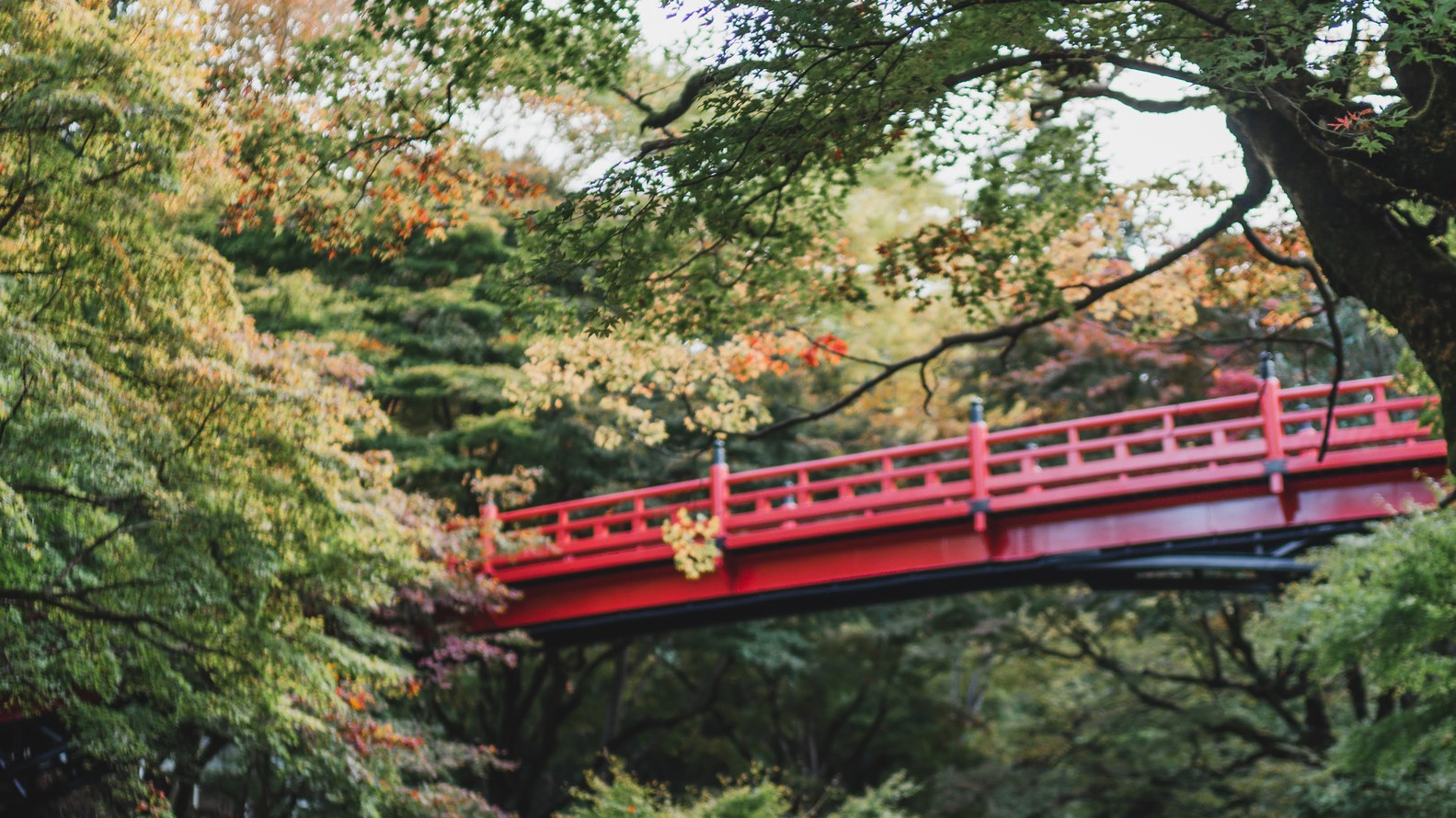 養父神社