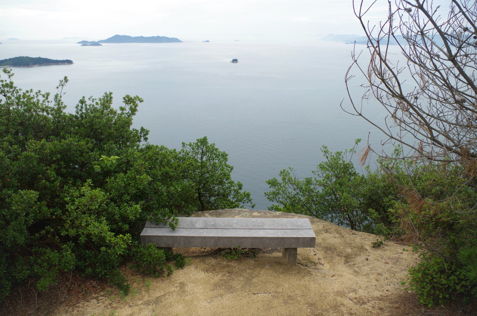 島内トレッキングコースには各所に休憩できるベンチがあります