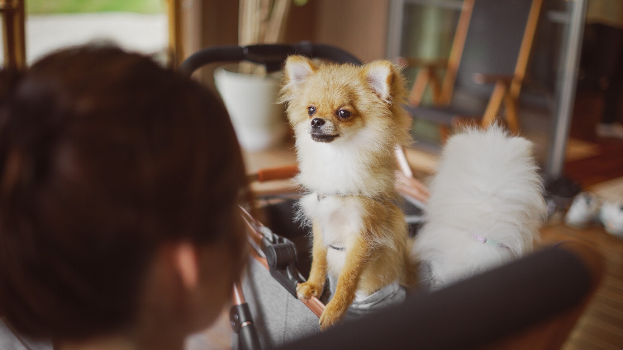 プライベートドッグラン付き♪