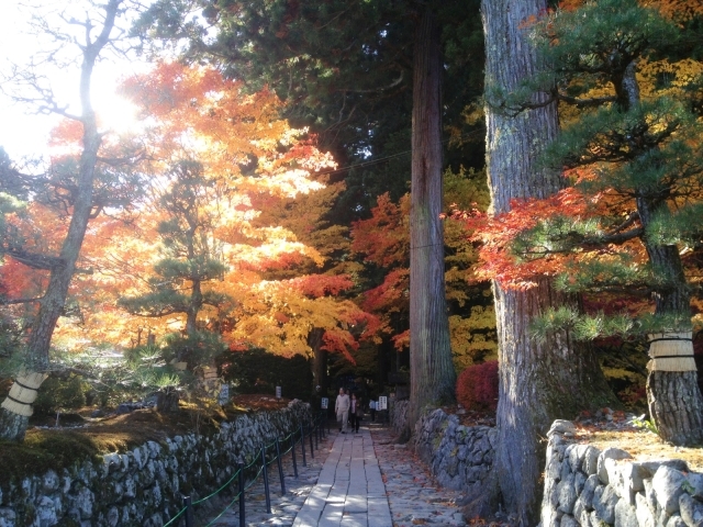 光前寺紅葉