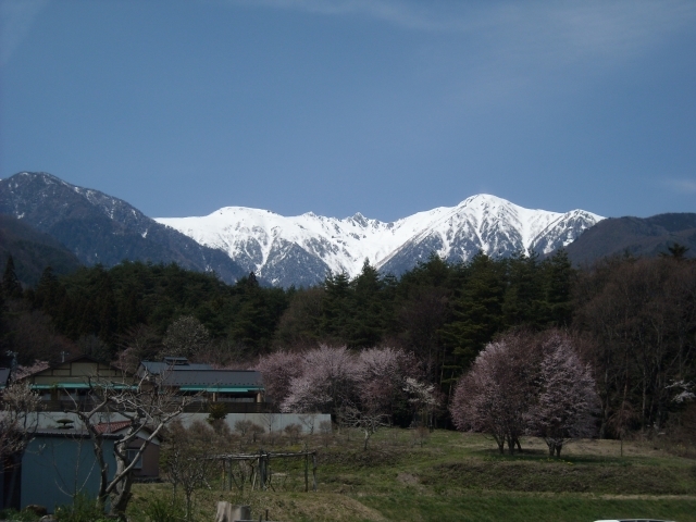駒ヶ根高原春