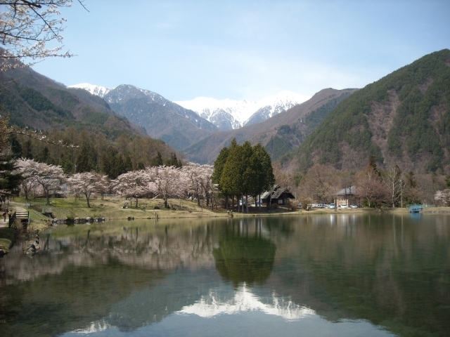 駒ヶ根高原春