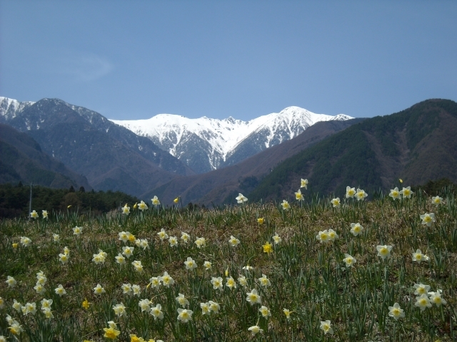駒ヶ根高原春