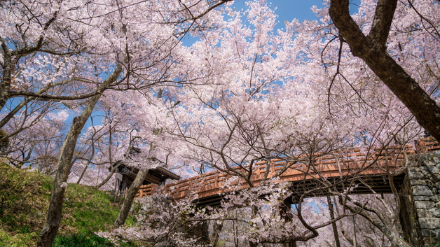 【高遠城址公園】