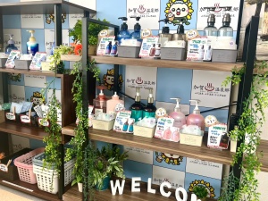 おすすめプラン