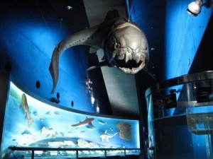 新よね旅館 写真4