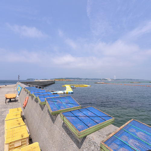 *新鮮な魚介が水揚げされる漁師の島。心地よい潮風と温かい島人が、旅人を迎えてくれます。