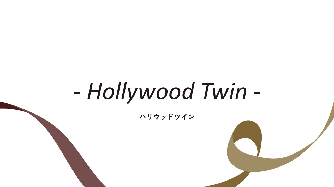 客室紹介(ハリウッドツイン)