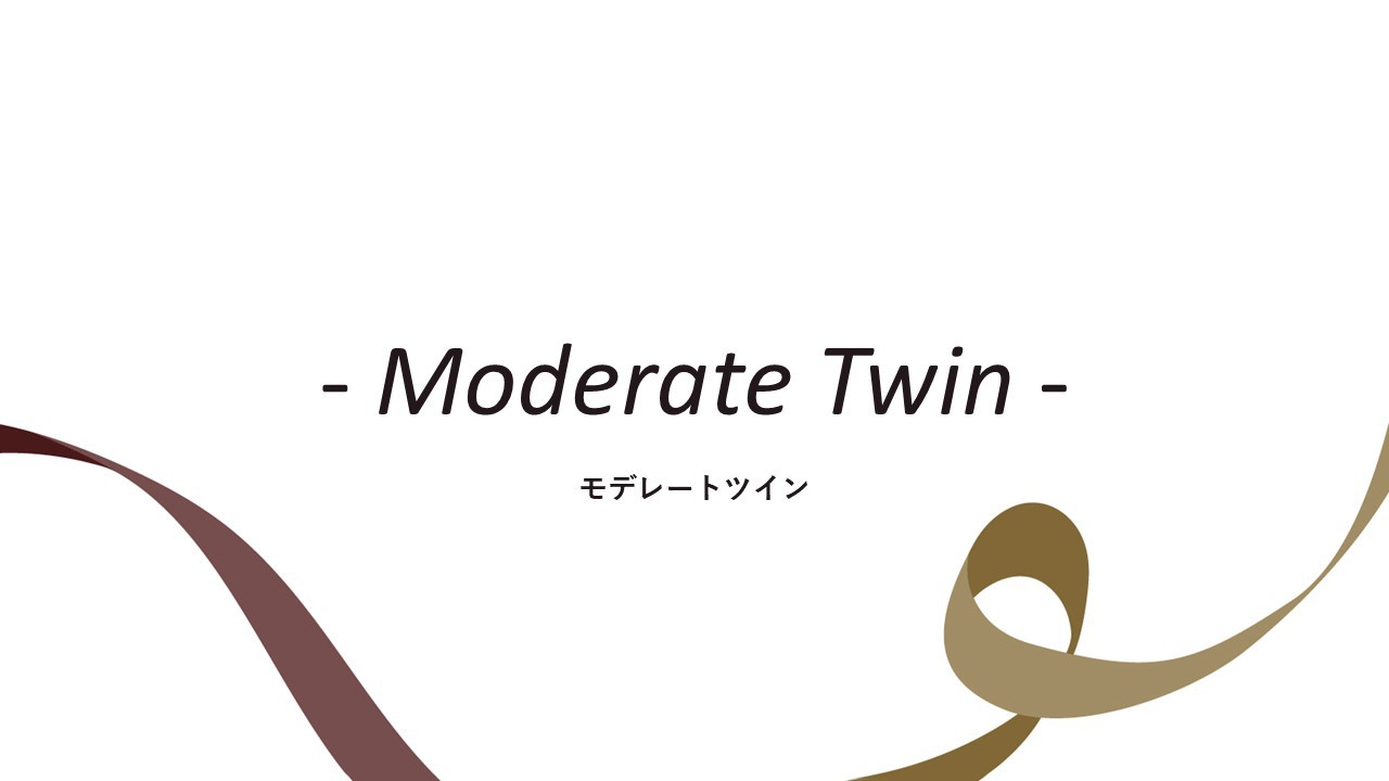 客室紹介(モデレートツイン)