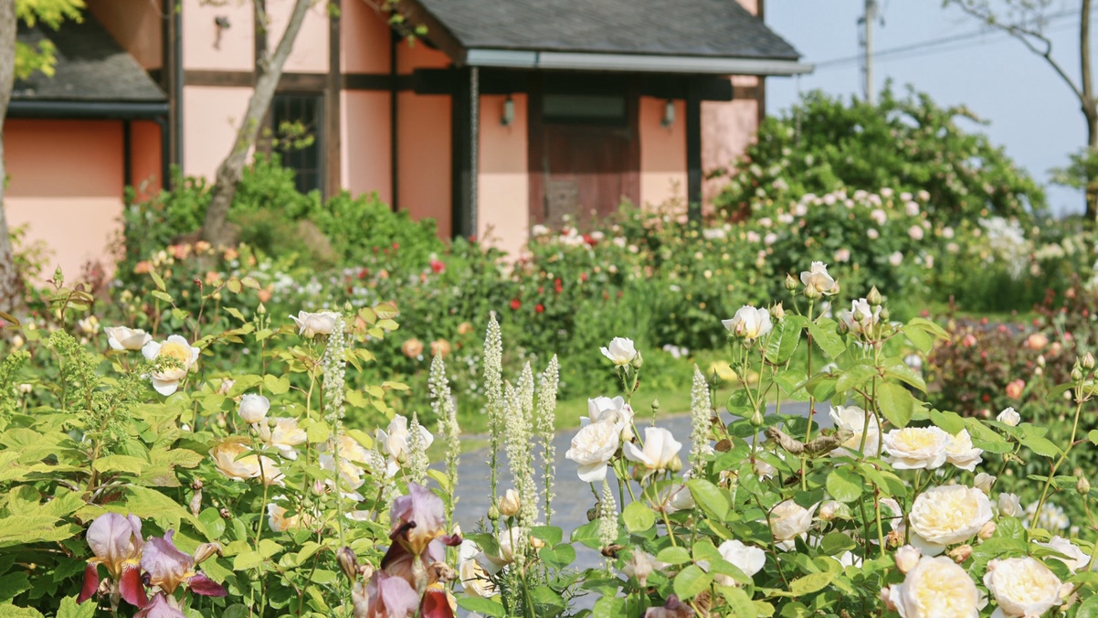 薔薇の季節敷地内