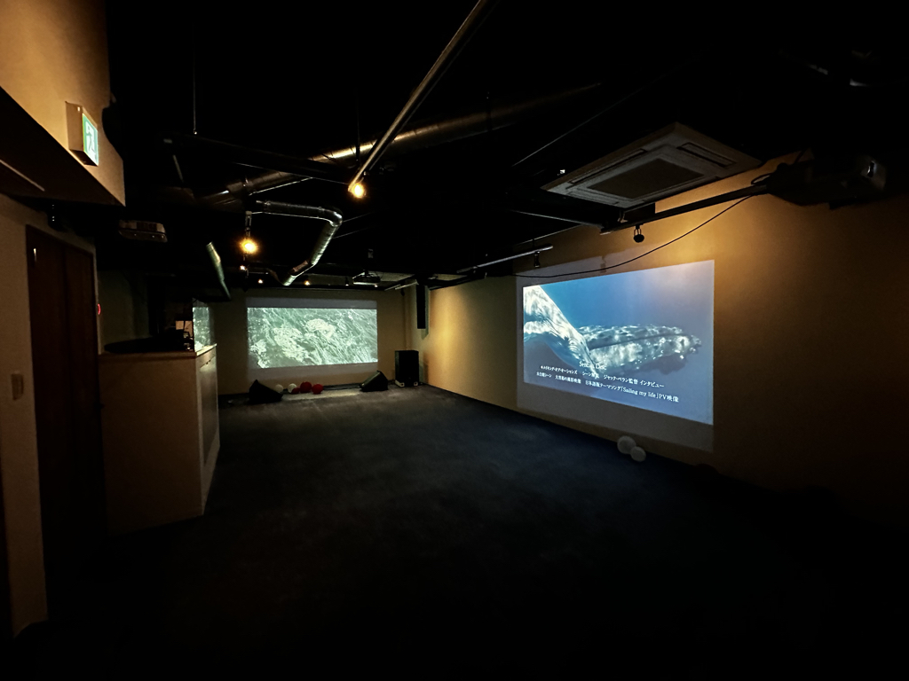 Basement Gallery/Studio