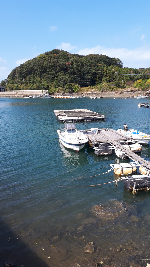 魚釣り