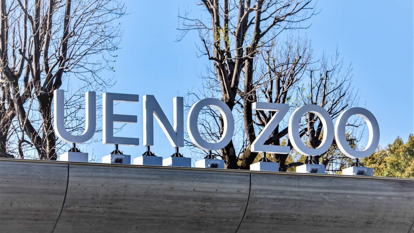 周辺／上野エリア（電車で約15分・乗り換えなし）