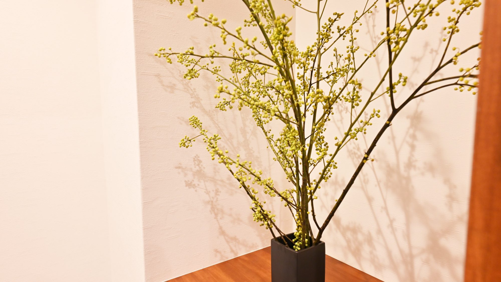 ・【天：インテリア】季節の植物に癒されます