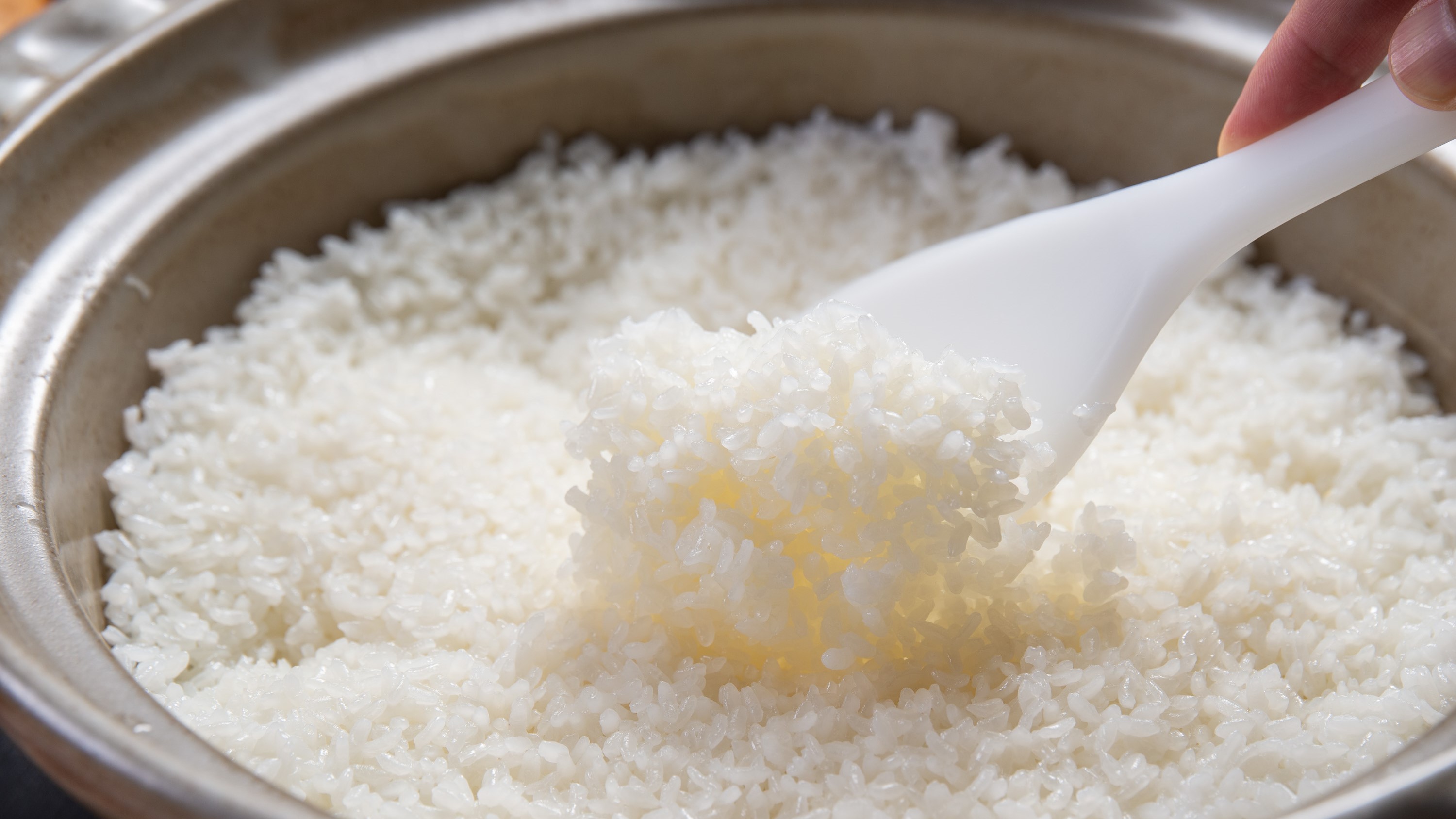 食事のお米は炊き立ての「吉田米」をご用意しております。