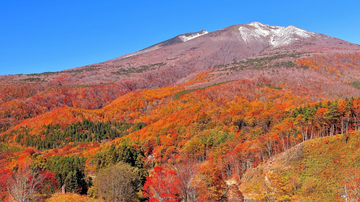 紅葉シーズン