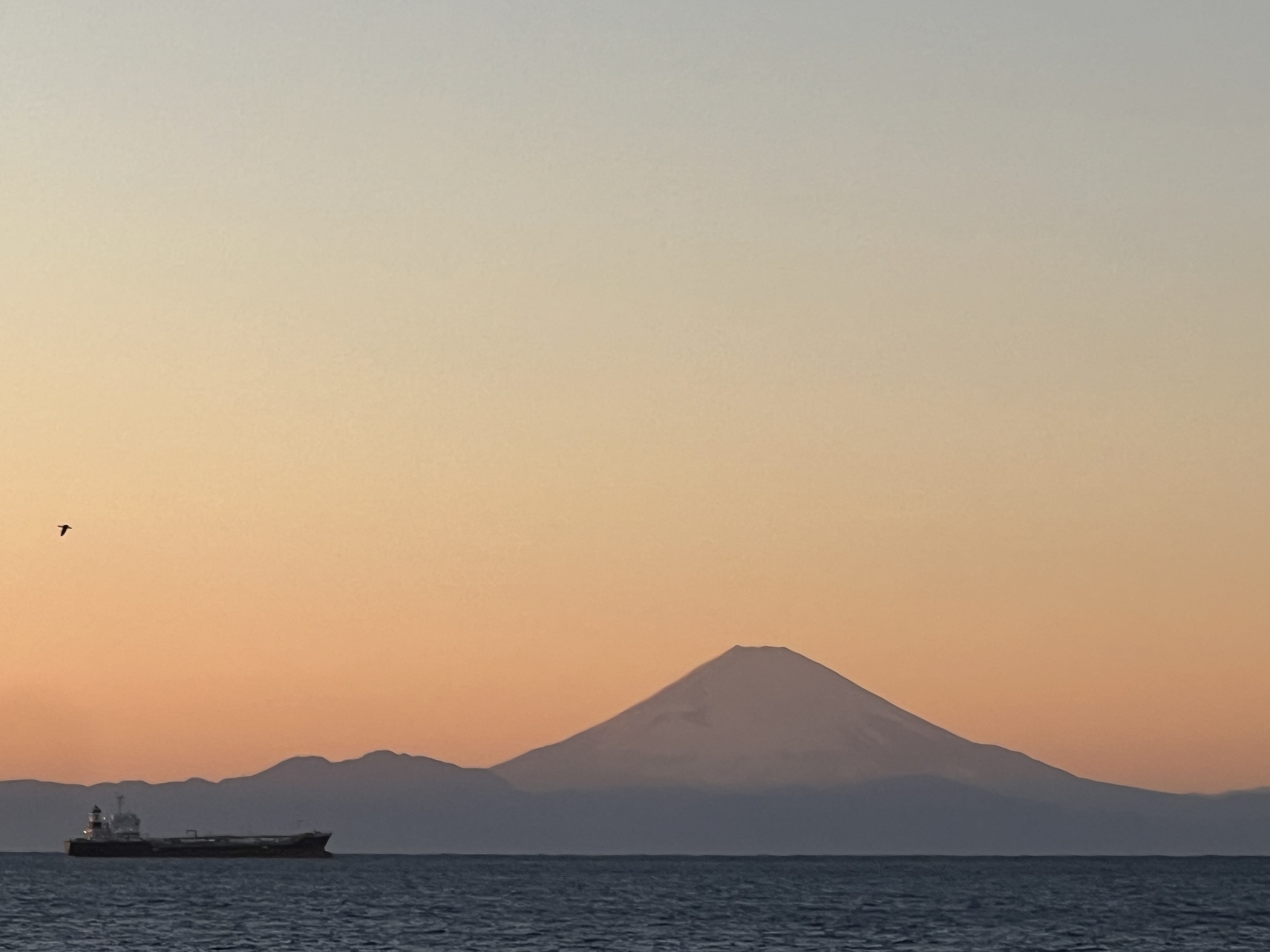 2014 1月1日当施設デッキから館山湾越しに臨む富士山