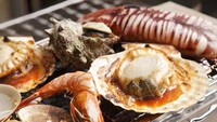 yᕨȂIzWHɗȂCNI~CNI12HtBBQ DXv