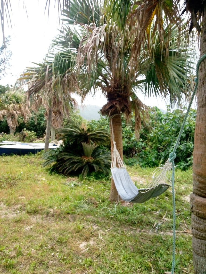 ハンモック。