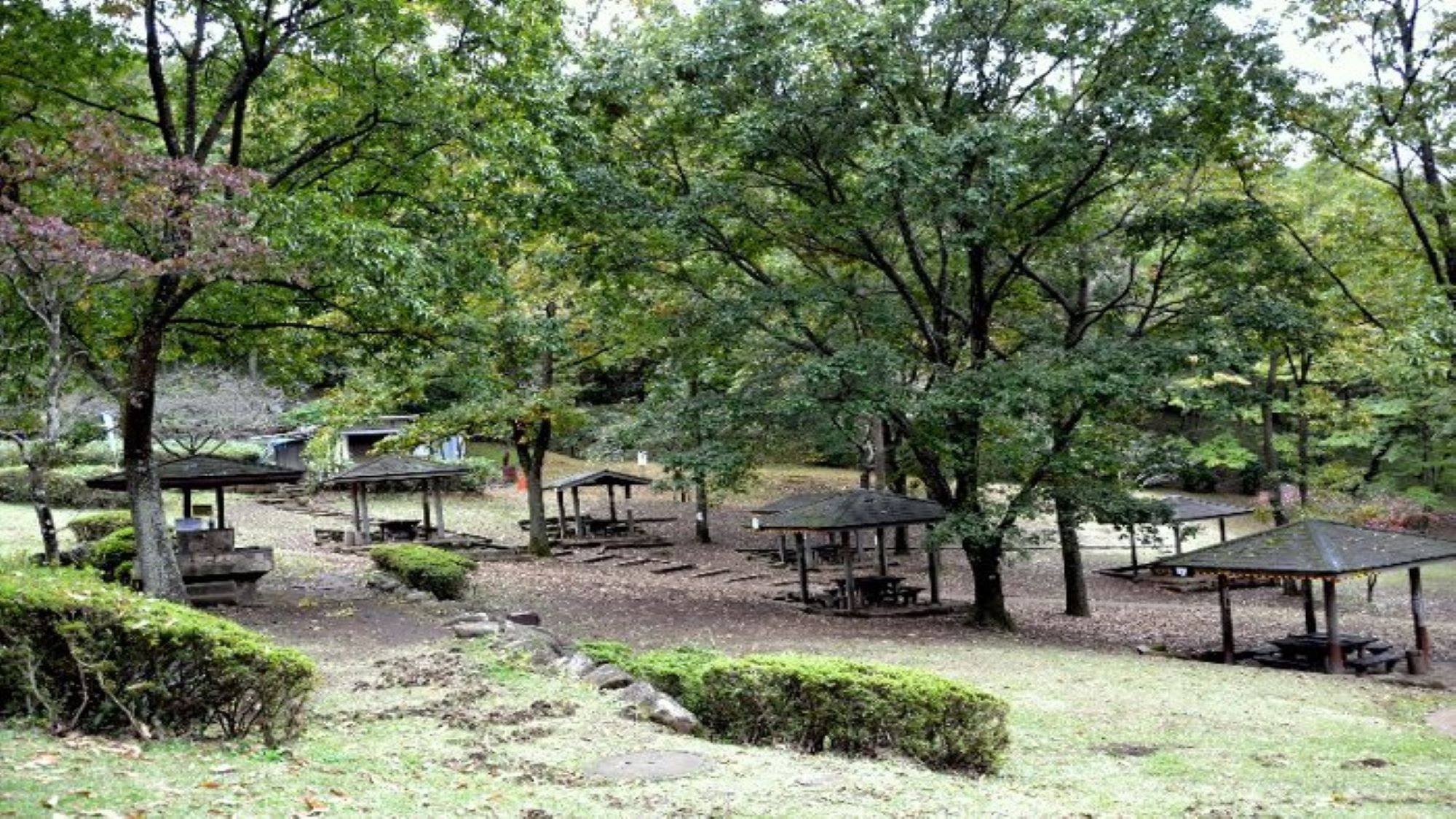 【神奈川県立七沢森林公園】家族や友人と楽しめるバーベキュー場もあります♪