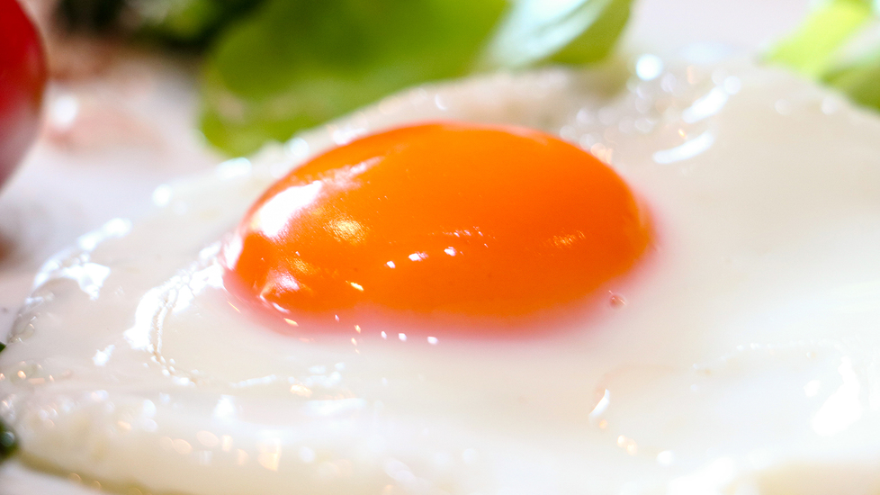 #朝ごはん藤原養鶏場の卵は絶品です♪